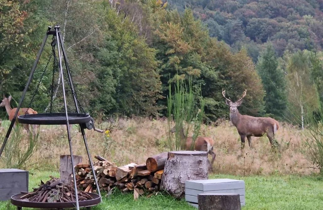 alojamientos AlohaCamp Chabrowo Retreat - dom nad jeziorem Klimkówka 1