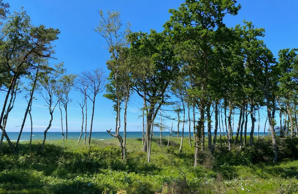 Wicie Domki Błękitny Kopań 3