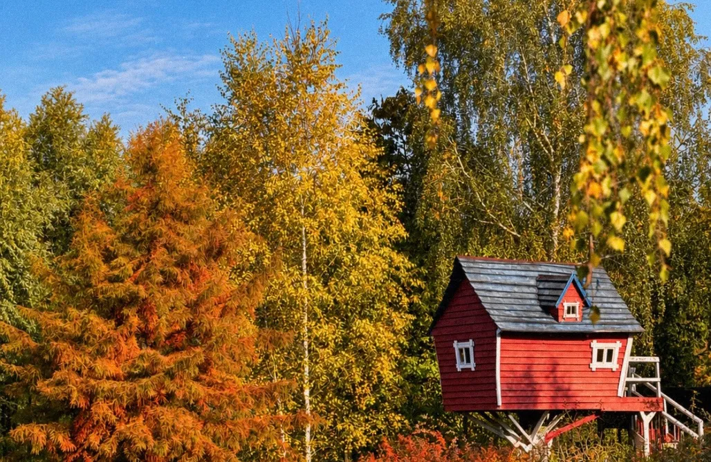 AlohaCamp accommodaties Eiland alleen voor jou + sauna, kampvuur 1