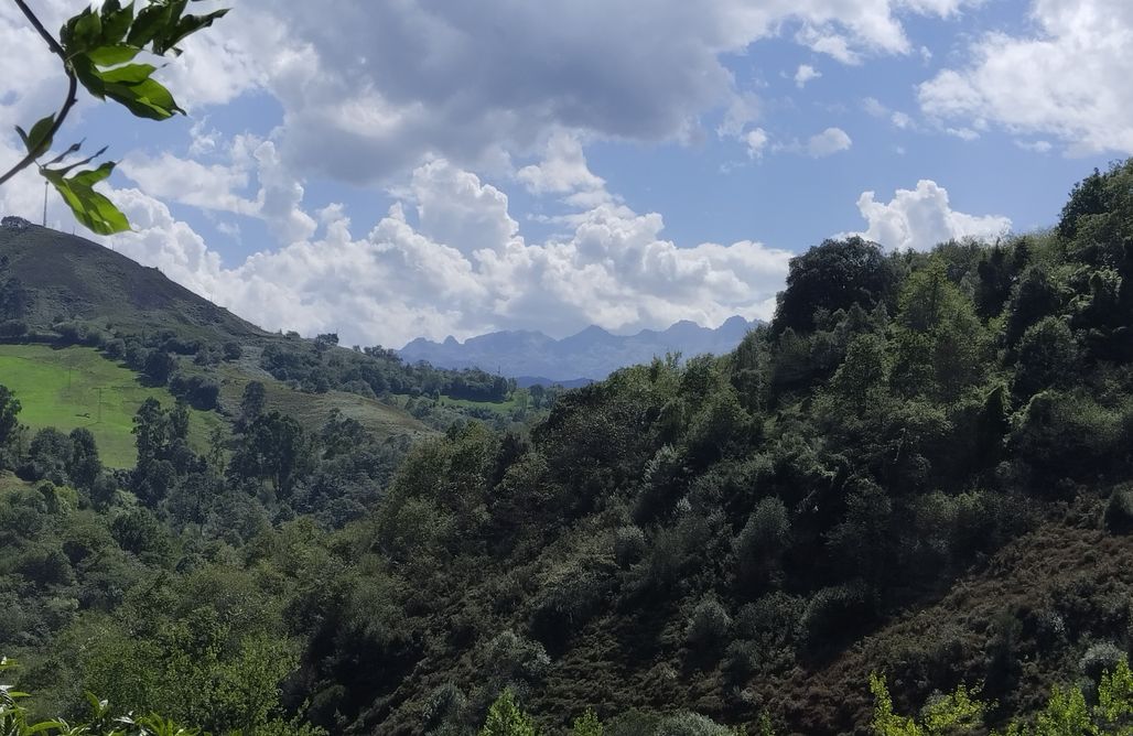 Alojamientos en Asturias Mu de Munay 1