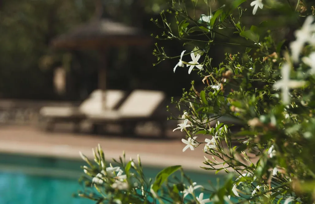 Unterkunft AlohaCamp Finca Can Estades 4