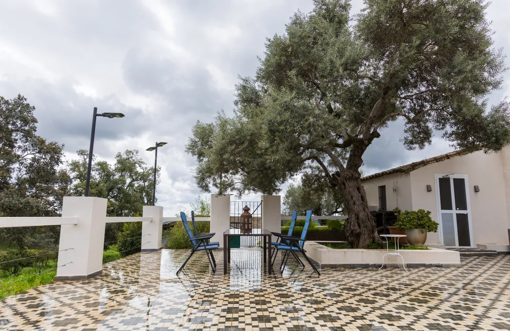 noclegi AlohaCamp Finca la Arborea 4