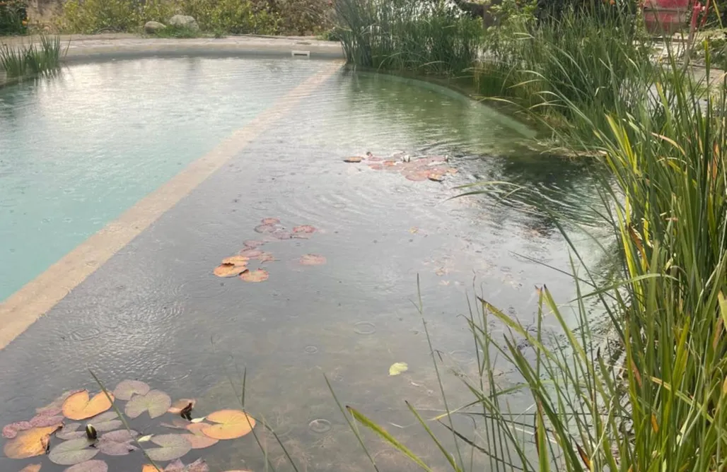 alojamientos AlohaCamp La Calma y La Casita de la Tierra 1