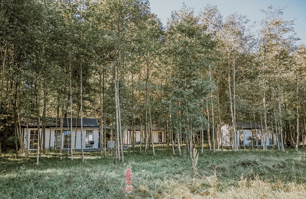 AlohaCamp Domek premium 1B 1