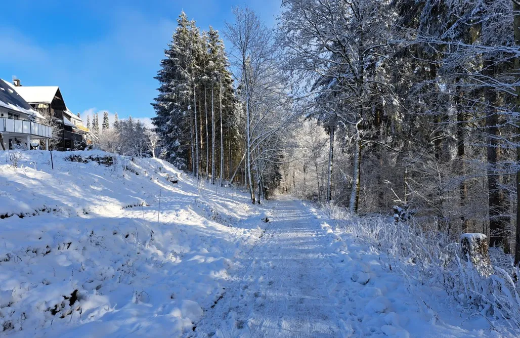 Unterkunft AlohaCamp Winterberg Apartment mit Garten 4