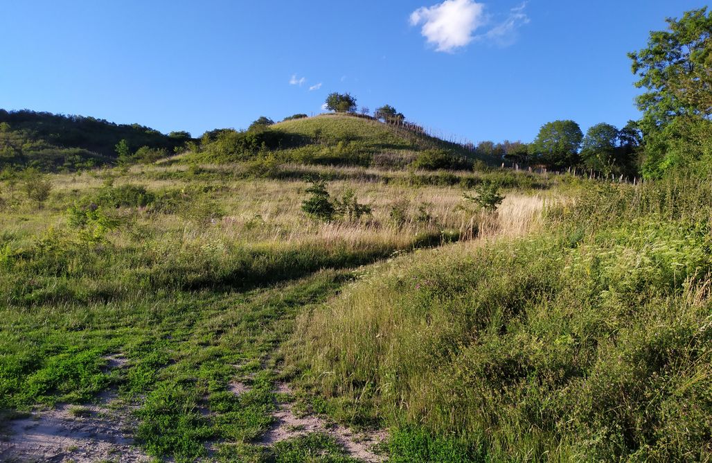 Pole namiotowe Kaszuby Miejsce Kamperowe - Winnica Santok koło Gorzowa 3