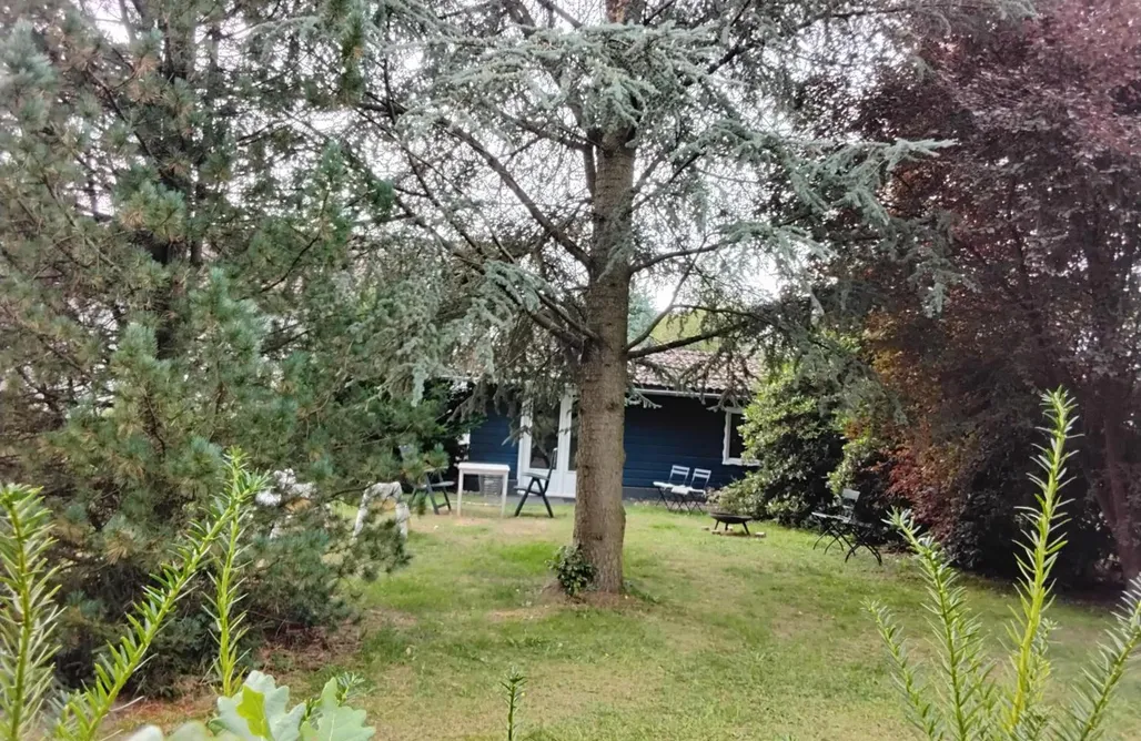 Hochwald Chalet AlohaCamp