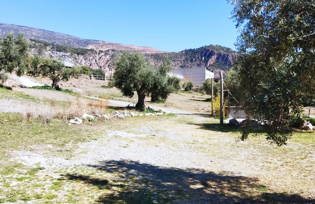 Camping Holidays Spain Sitio para autocaravanas: Alquería de los Lentos 3