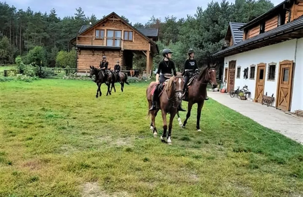 AlohaCamp Miejsce dla kamperów 2