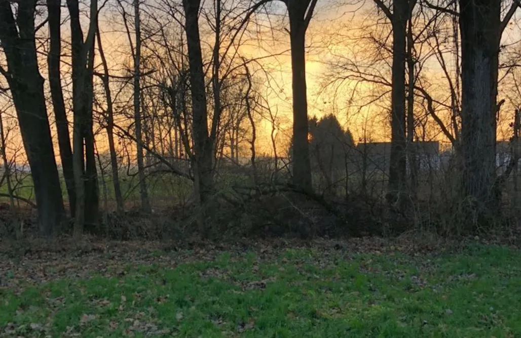 Ferienhaus Bayerischen Wald Ilmhaus II 3