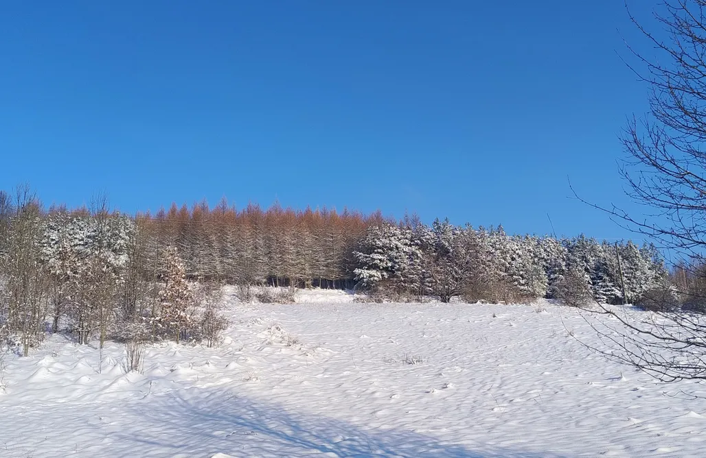 AlohaCamp Relaksatorium Sfera Beskidu 1