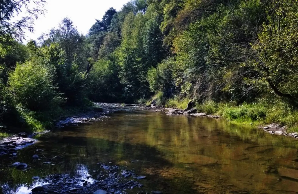 Podkarpacie Ostoja nad potokiem - Domki 1