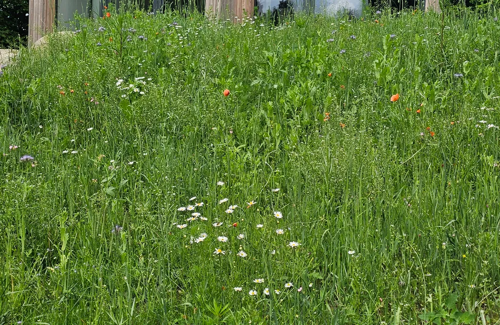 noclegi AlohaCamp Domek Inspiracja  1