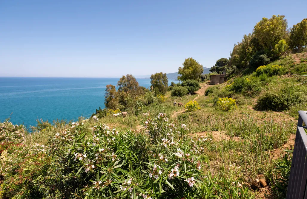 alojamientos AlohaCamp CefalHome - Torre Terra 5