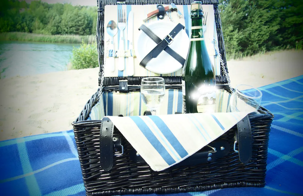 Ferienpark Harz Ferienhaus Hanni 1