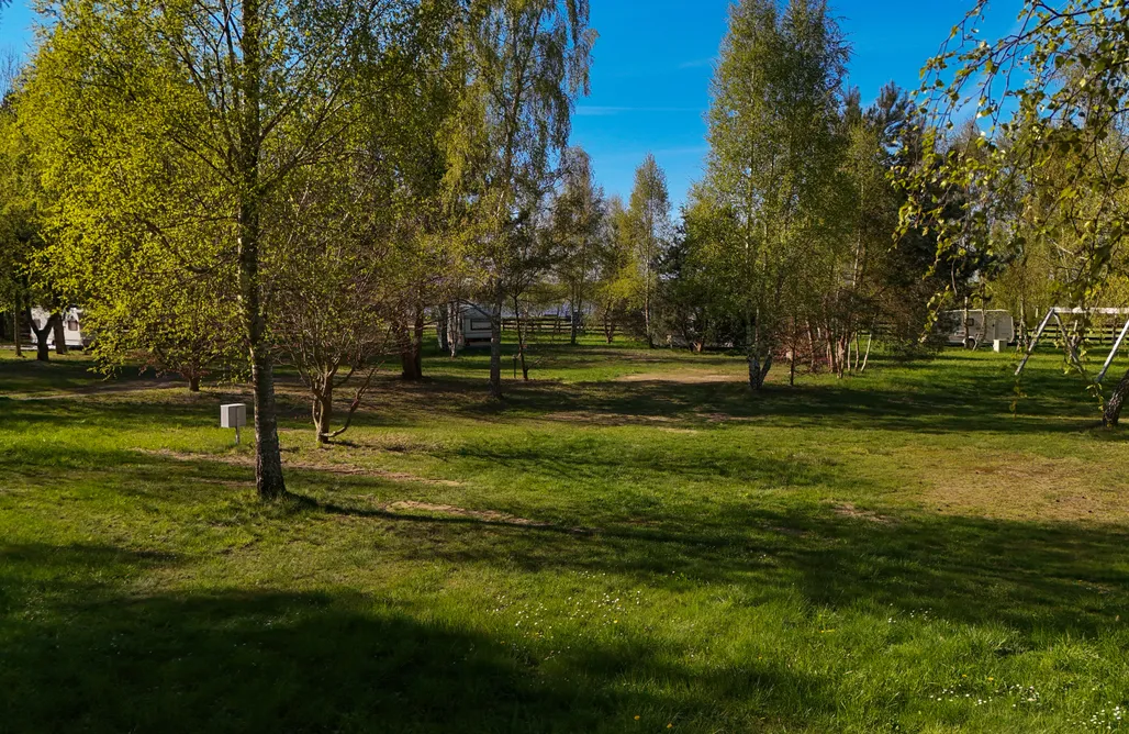 AlohaCamp Miejsce pod duży namiot (dla 5–6 osób) 2