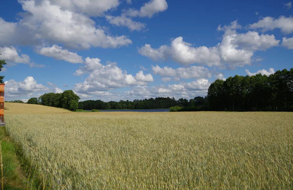 Alloggi AlohaCamp Kaszubska Przystań Wyrówno 1