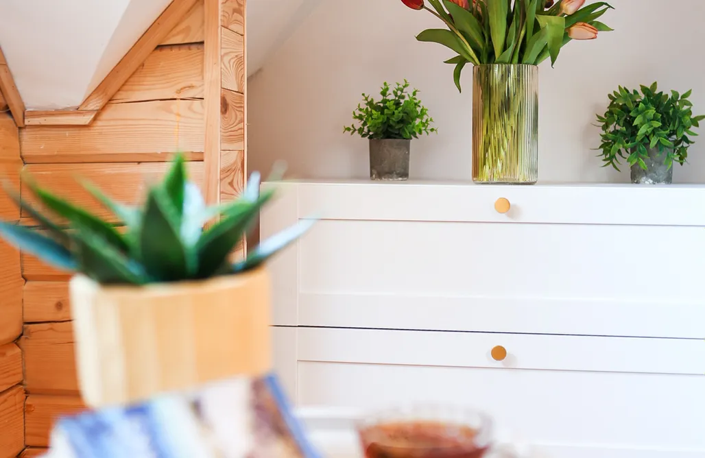 ubytování AlohaCamp Leśne Zacisze 3 | Domek sauną i balią w cenie 5