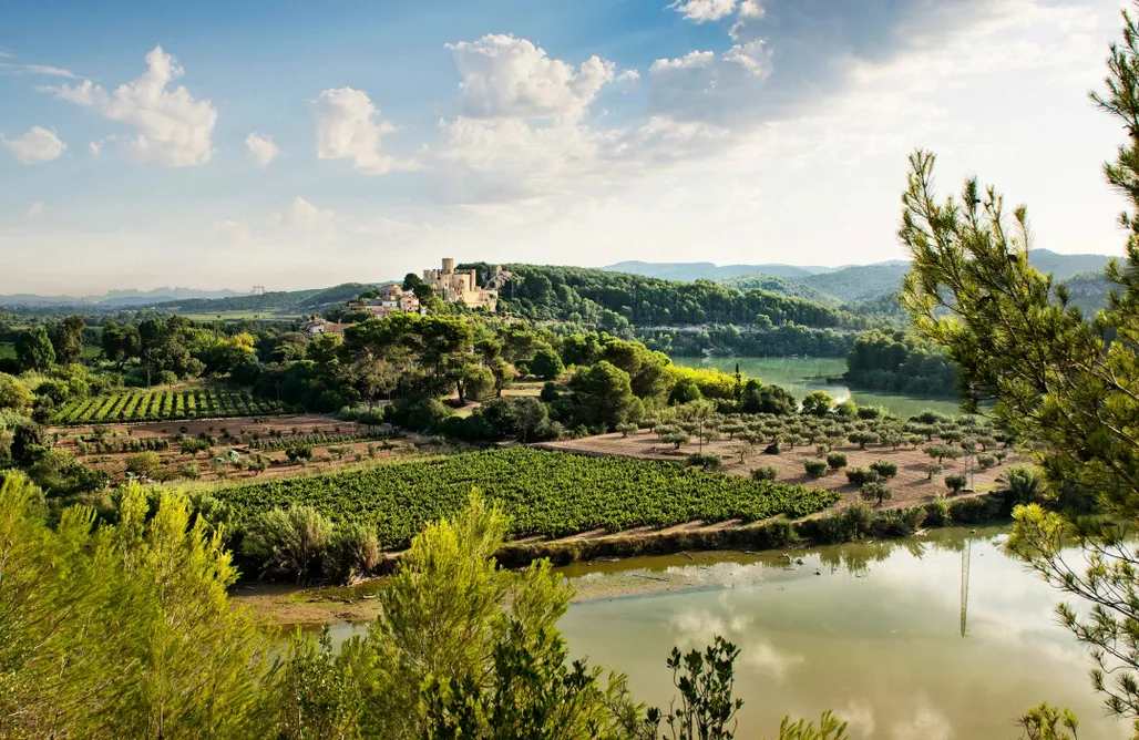 alojamientos AlohaCamp Can Comas 4