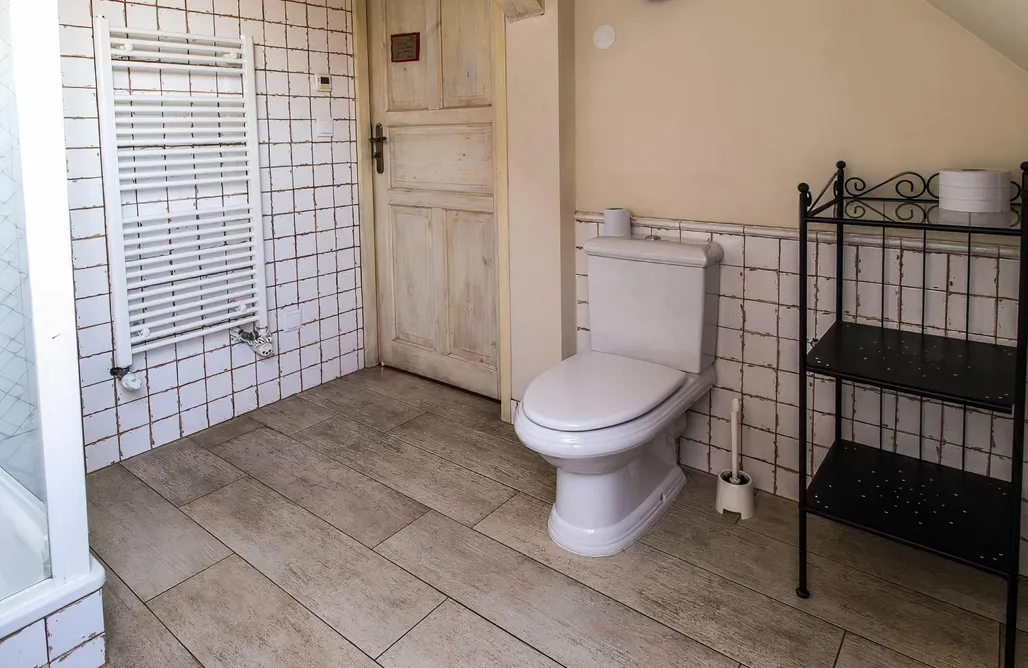 AlohaCamp Wyspa Koni 3