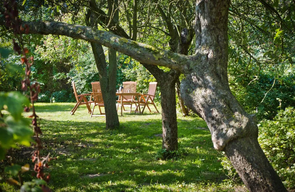 Unterkunft AlohaCamp Ferienhaus Makrele von 1877 4