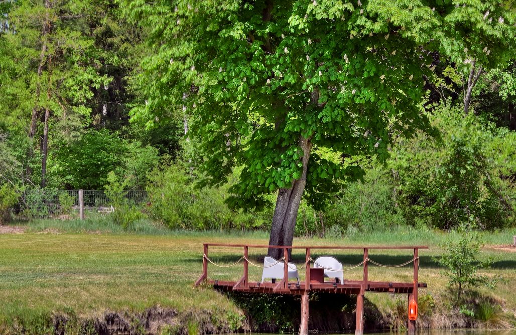 noclegi AlohaCamp Cisza & Spokój 1
