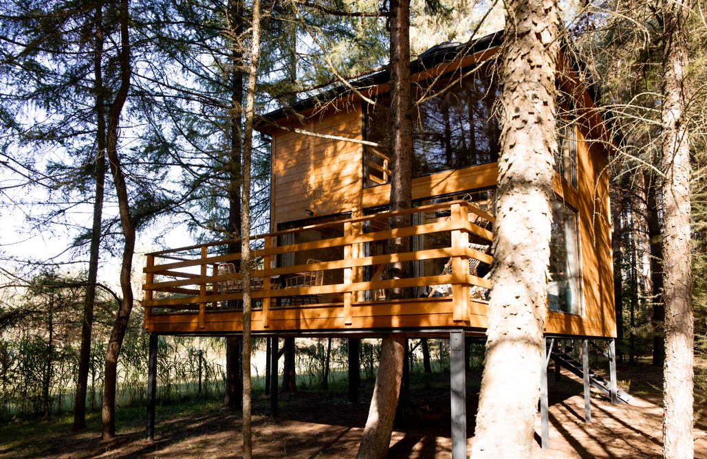 Wood Land Liswarta domki w koronach drzew AlohaCamp