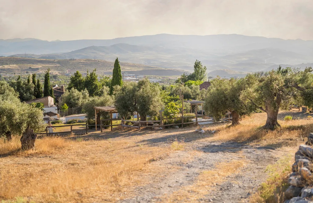 alojamientos AlohaCamp Alqueria de los lentos - Habitaciones 5