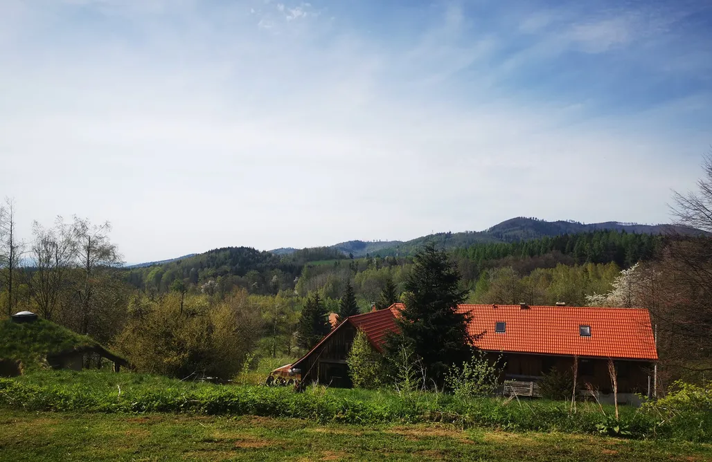 hebergement AlohaCamp Dom Rzeźbiarza w Gaju 3