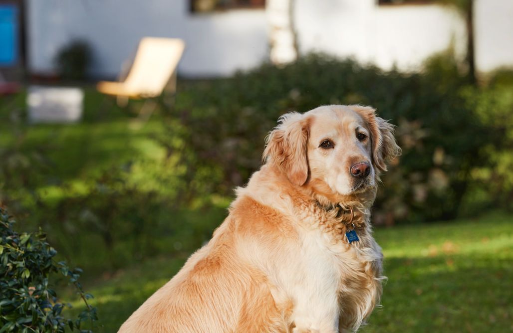 AlohaCamp Pokój Lawendowy 1