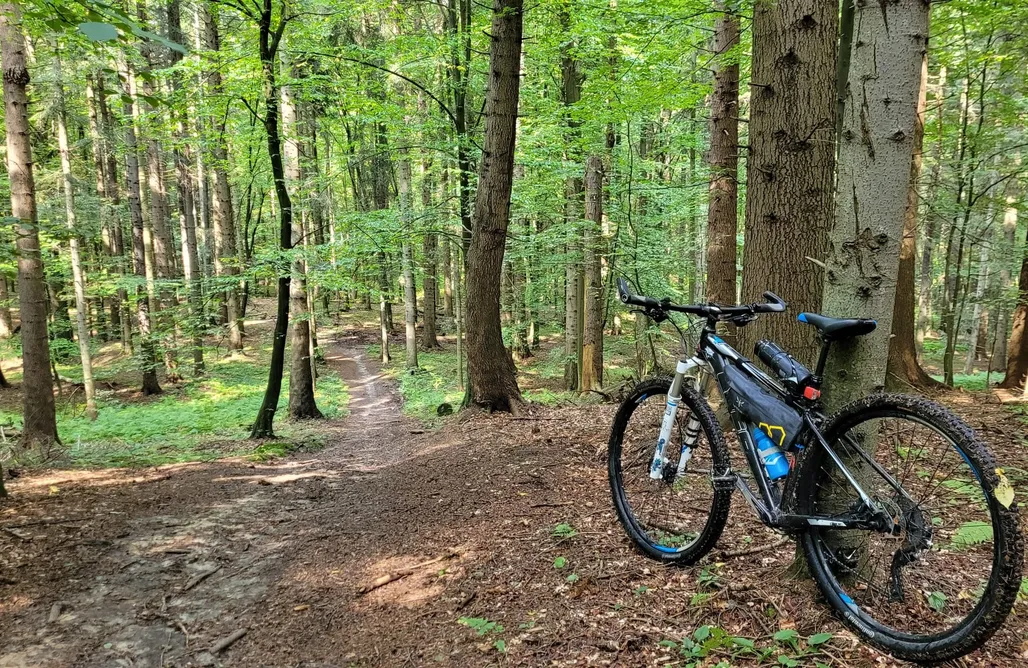 Alloggi AlohaCamp W Matulniku- dom z basenem na Podkarpaciu 1