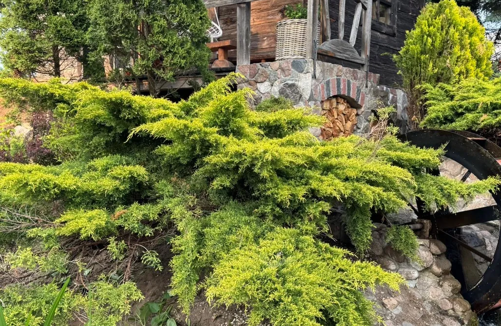 Sochocin Domki Chatka Młynarza 3