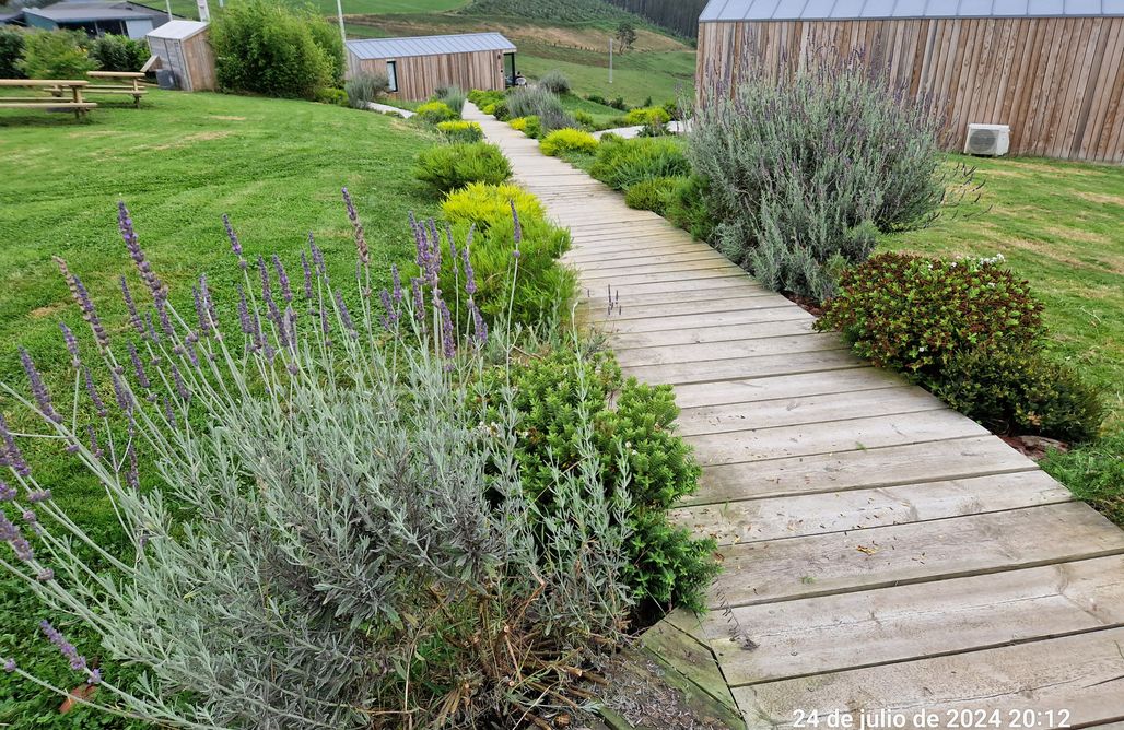 AlohaCamp Cabaña 2 1