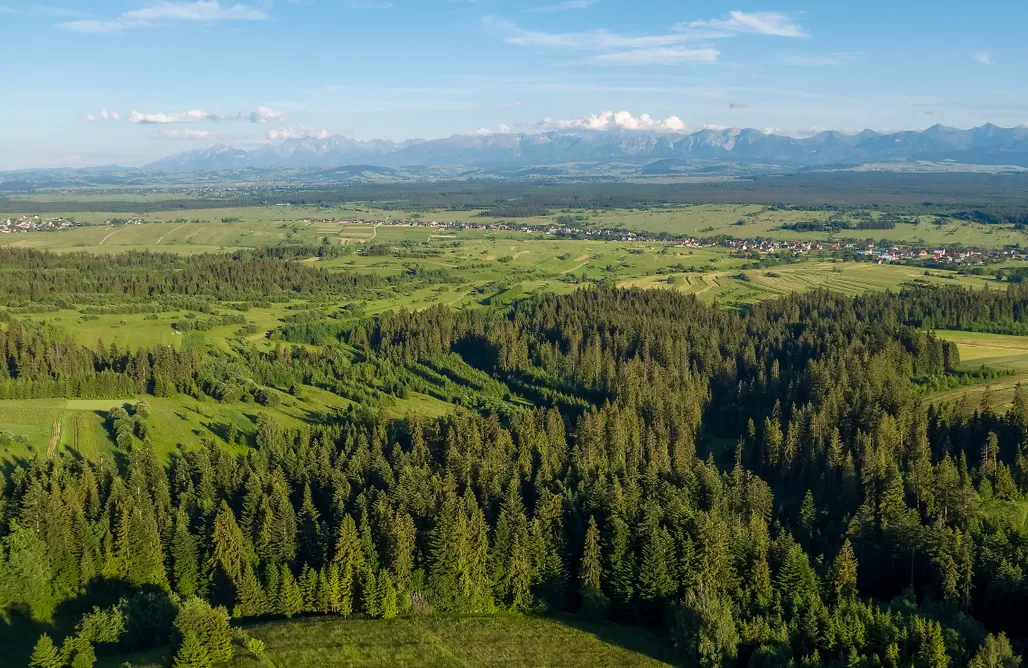 noclegi AlohaCamp Dwór Pan Tadeusz 4