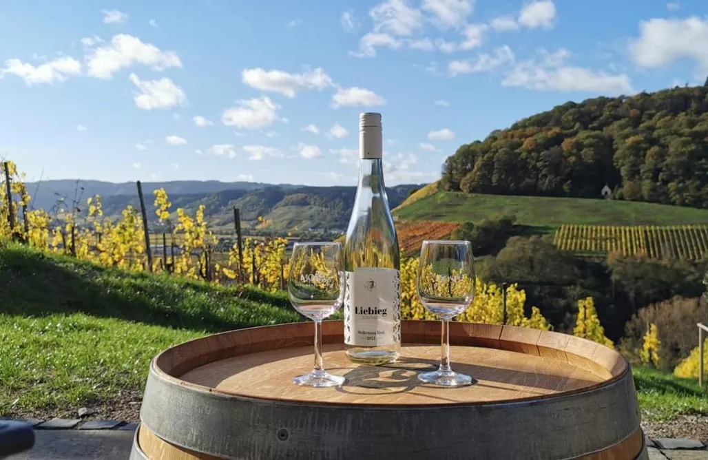 First Minute Moselhoch 3