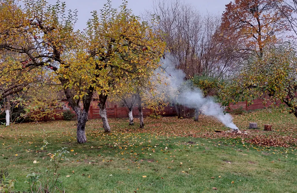 noclegi AlohaCamp Camp Warmia 1