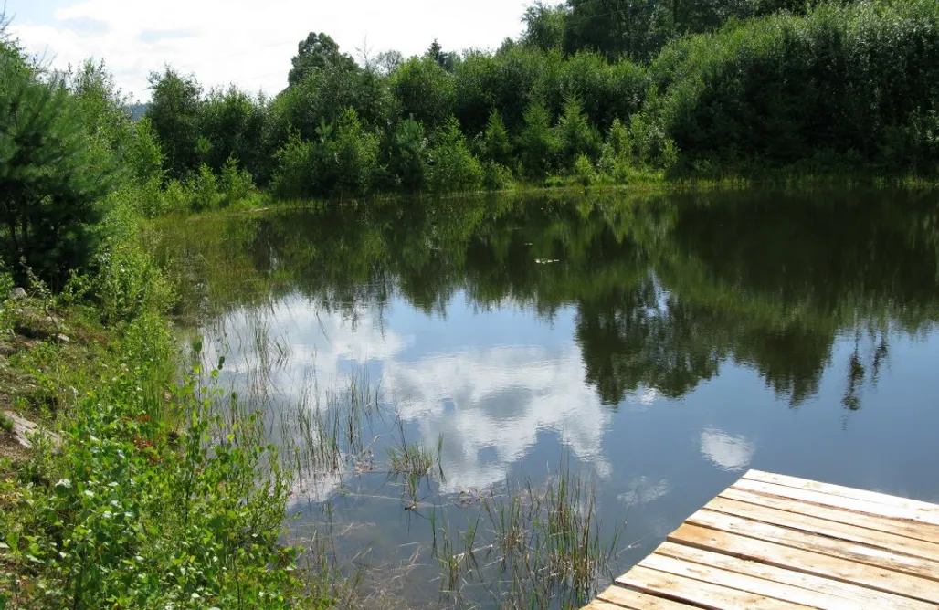 alojamientos AlohaCamp Miejsce kamperowe - Słodka Gruszka 1