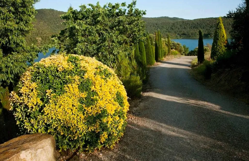 alojamientos AlohaCamp Masía mas D´en Bosc 4