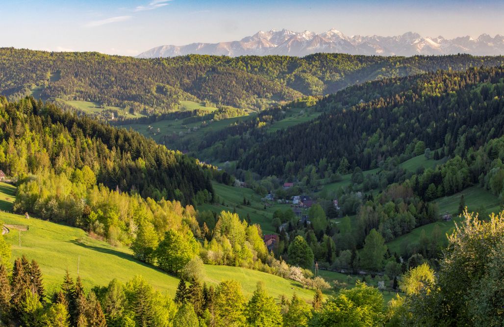 Gorczańskie Siedlisko z widokiem na Tatry AlohaCamp