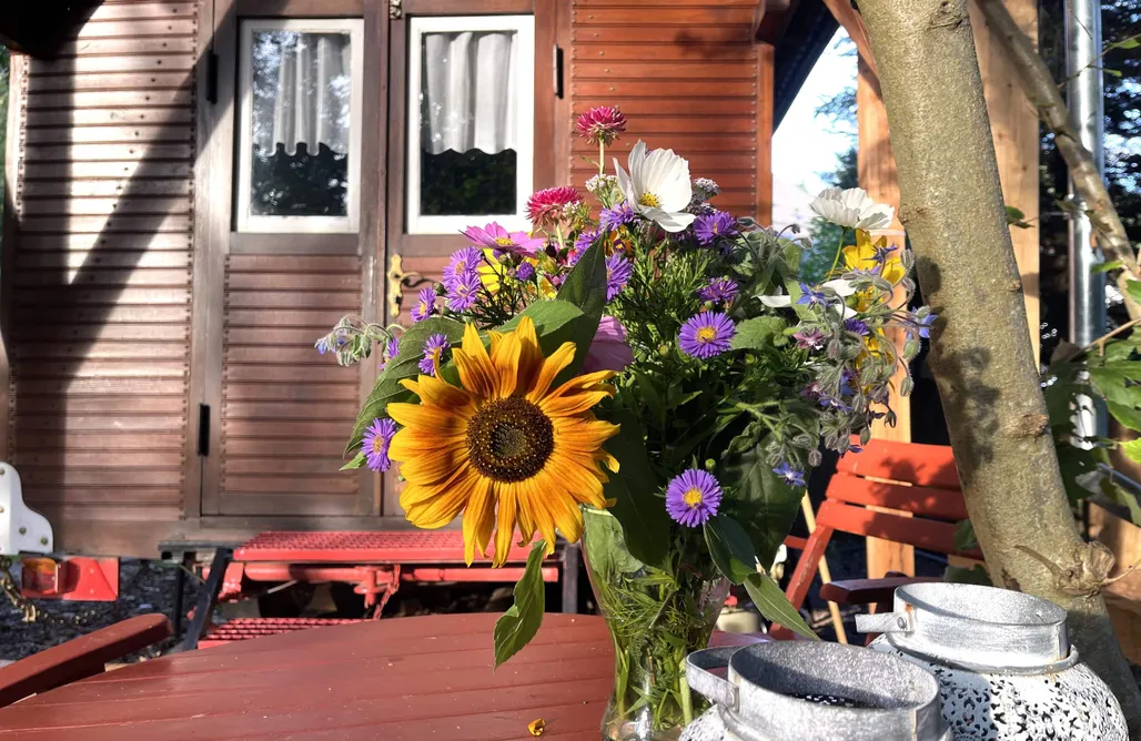 Urlaub in den Bergen Historischer Zirkuswagen mit Terrasse am Bach 2