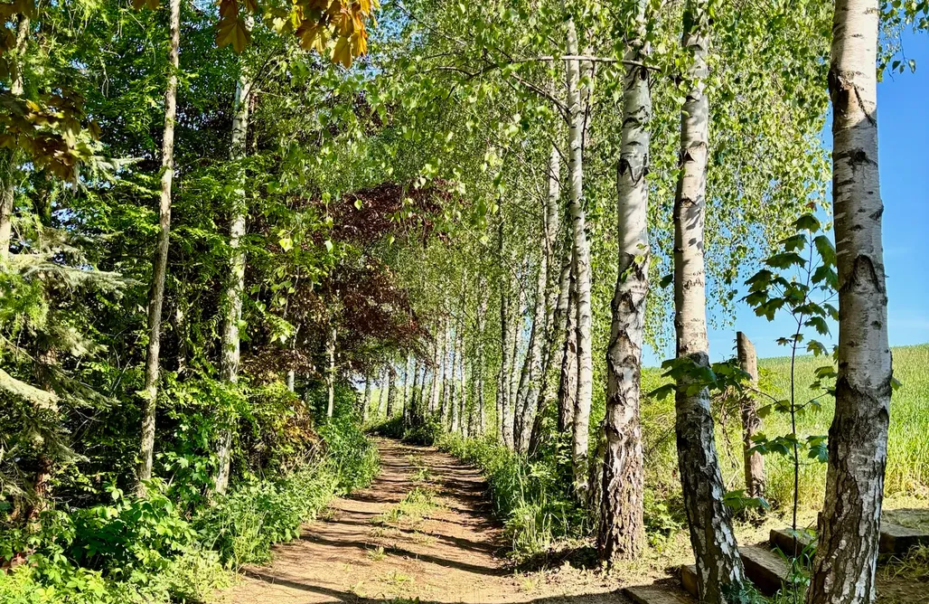 ubytovanie AlohaCamp Beczki noclegowe - Winnica Orle  1