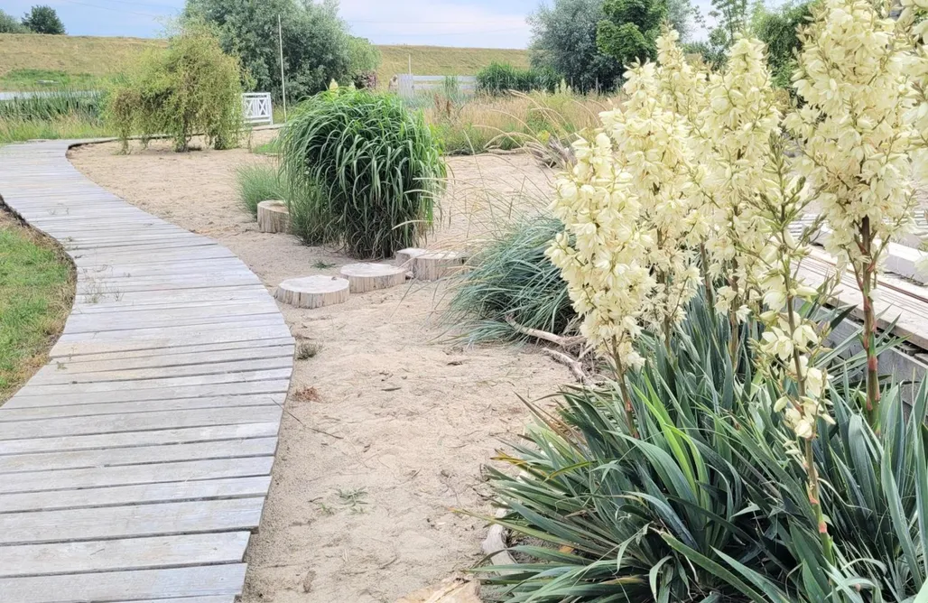 Piskornia noclegi Coco Beach Cupel - Domek Aqua 1