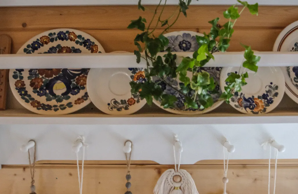 Stryszawa noclegi Alemiło - dom w górach 1