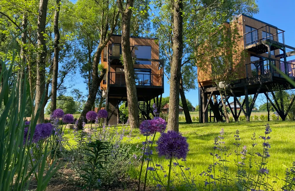 Domki Dla Wędkarzy Z Własną Linią Brzegową Domek na drzewie - Pałac Warlity 1