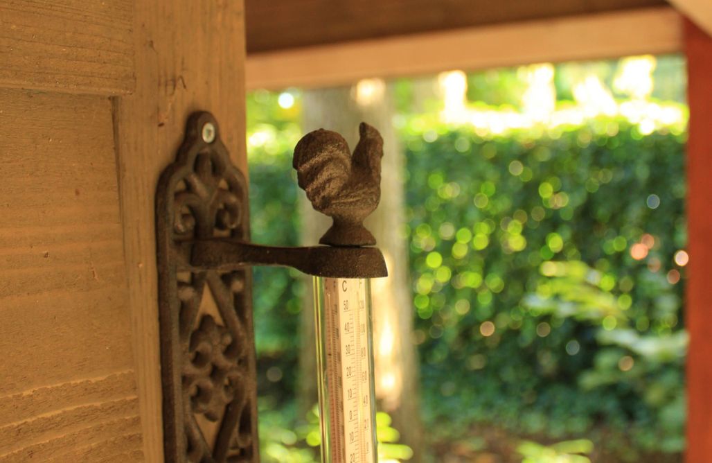 Location Chalet Maison dans la nature Le Petit Chasseur 1