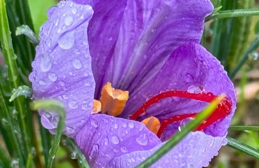 Pet-Friendly Accommodations Il Fienile di Bisarno 1