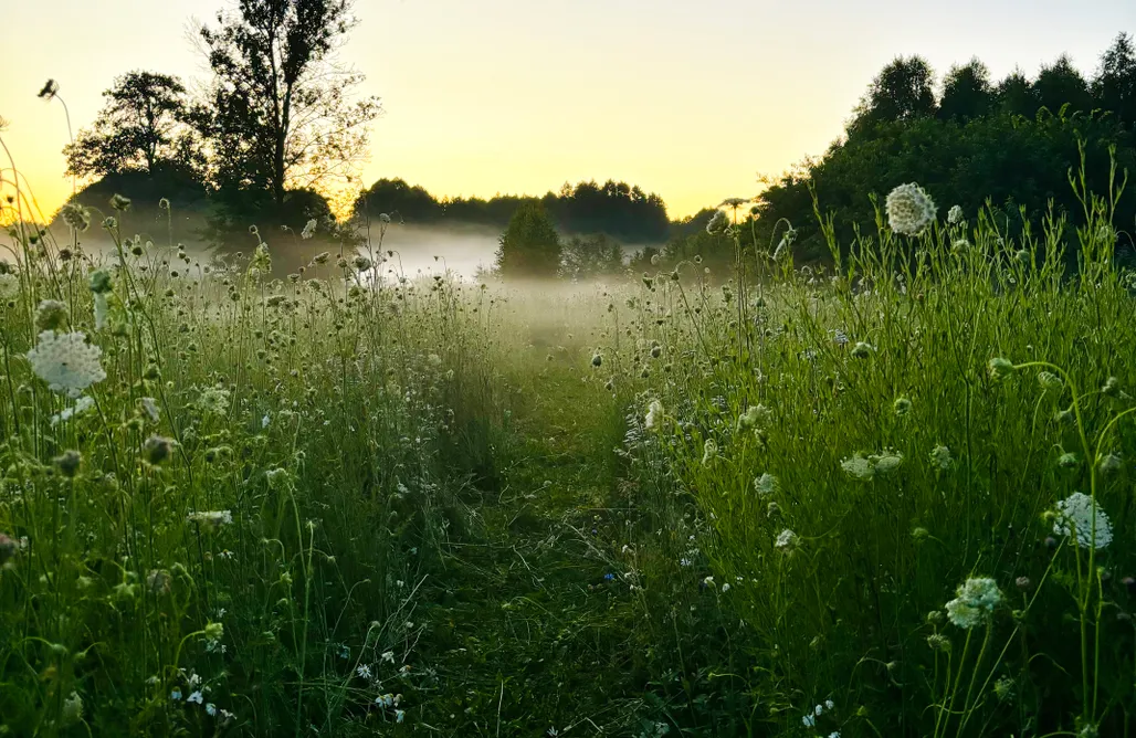 noclegi AlohaCamp Błękitny Ganek- miejsce pod namiot lub kamper 3