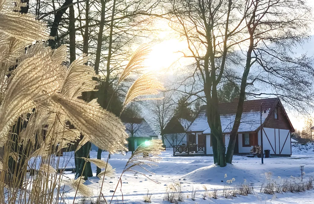 AlohaCamp Komfortowa Villa Premium 1