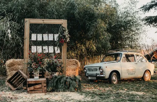 Imagen de El Bosque Secreto