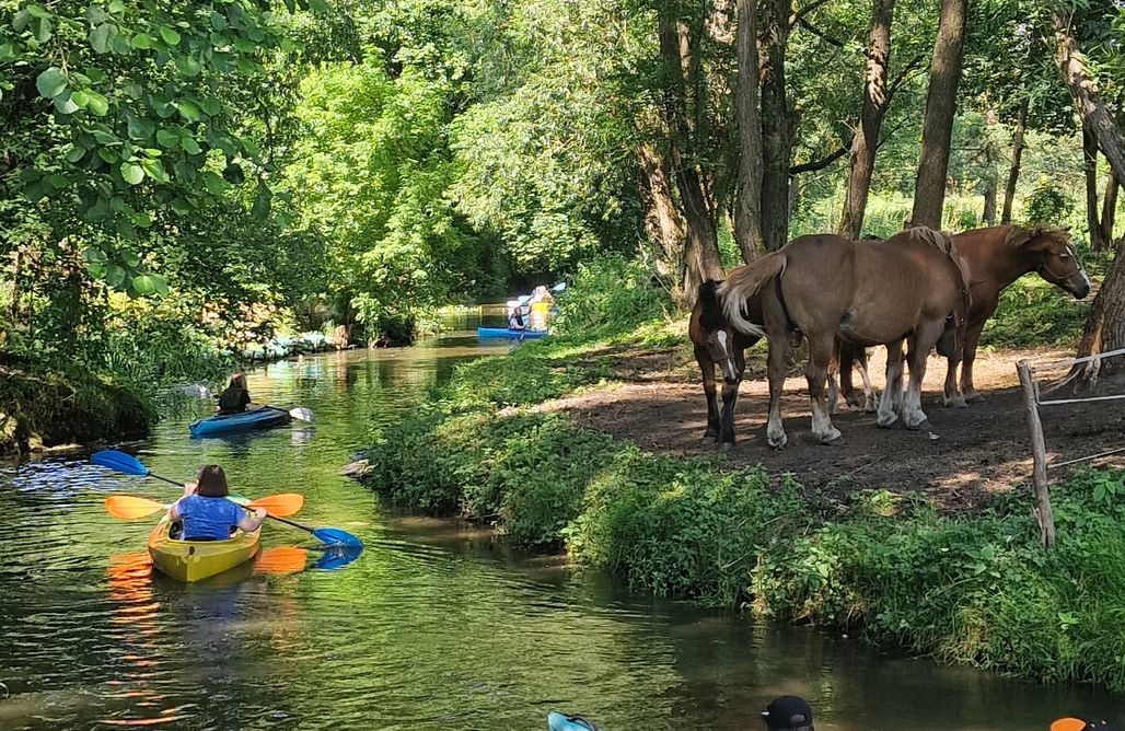 AlohaCamp Chatka na Roztoczu-dom ze stodołą 1